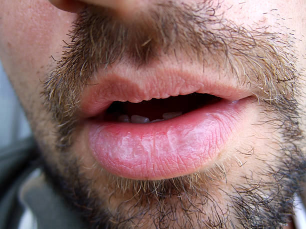 Profil de Steev, 29 ans, Groupe gay à Wettingen